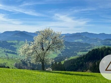 Baugründe in wunderschöner, sonniger Lage! Ein Höchstmaß an Lebensqualität!