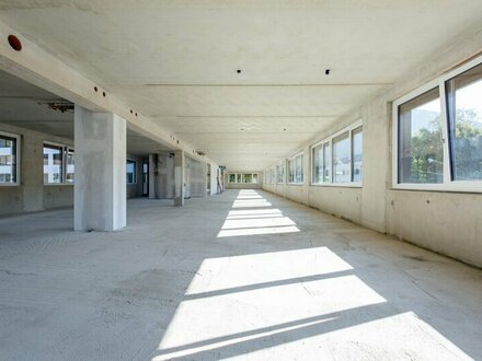 Campus Borromäum | Ihre flexible Bürolösung mit 464,23 m²