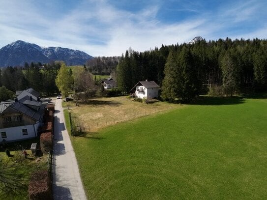 Vier Baugründe in Altaussee - Baugrund 3