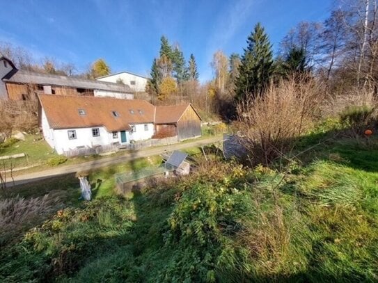 Original saniertes Landhaus Nähe Litschau und Heidenreichstein