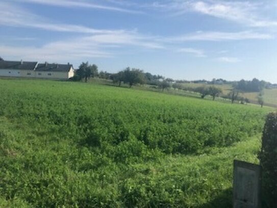 Sonniger Baugrund mit angrenzender Freilandfläche in absoluter Ruhelage