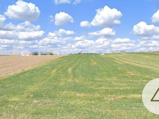 landwirtschaftlich genutzte Grundflächen