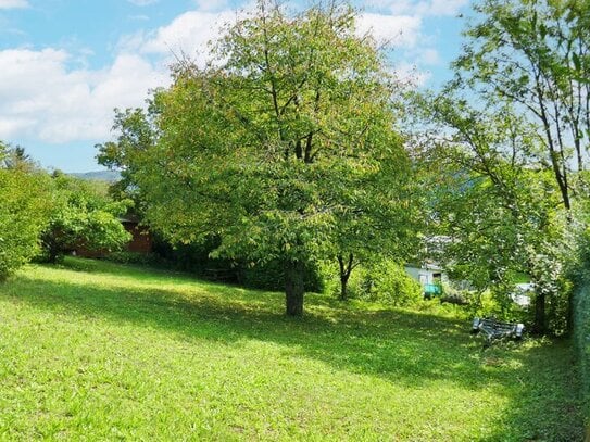 Baugrund auf leichtem Südhang in idyllischer Lage in Tulln-Nähe