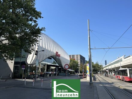 Wohnen beim Kirschblütenpark – Neubau in Top Lage – Provisionsfrei mieten! - JETZT ZUSCHLAGEN