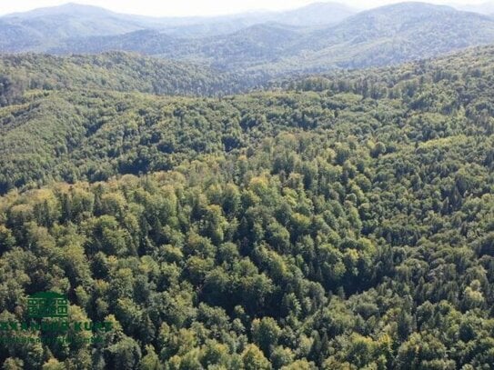 3.000 Hektar guter Mischwald, Seehöhe von ca. 200 m bis ca. 800 m, Ernte pro Jahr ca. 13.591 fm