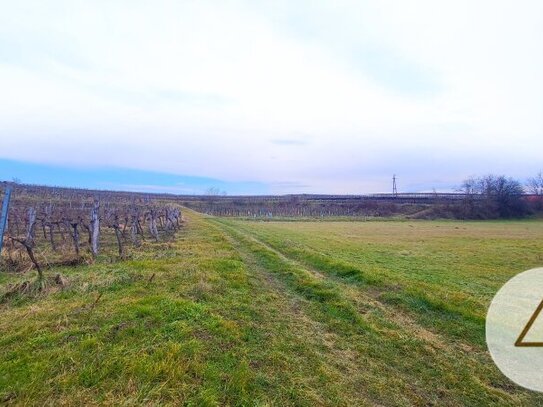 Projektiertes Baugrundstück für Doppelhäuser 14 Wohneinheiten umgeben von Weinbergen