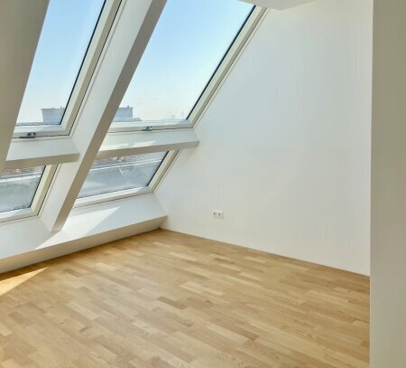 Dachterrassen Wohnung in einem prächtigen Gründerzeithaus