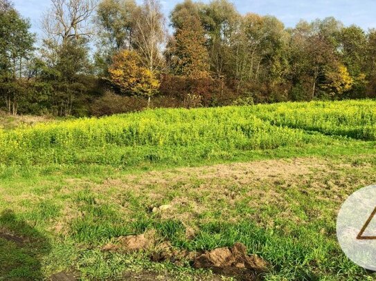 Ebenes Baugrundstück in Siedlungslage + 5000 m2 Grünland