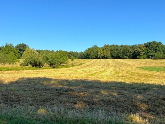 Ganztagssonniger Baugrund in Aussichtslage