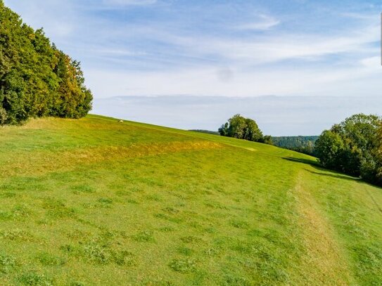 Fantastisches Grundstück in grüner Ruhelage oberhalb von Mondsee