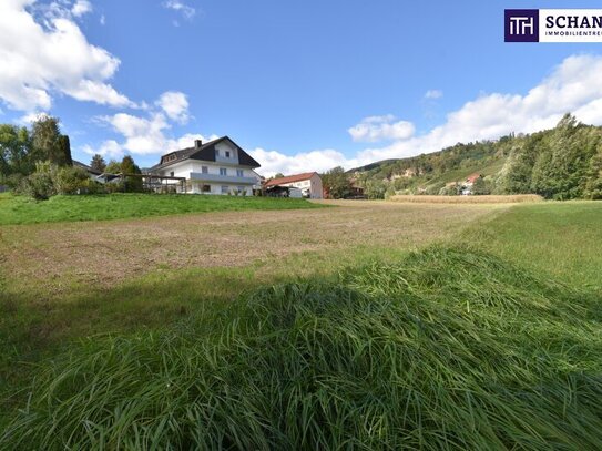 Erleben Sie ländliche Idylle mit zentraler Lage: Ihr naturnahes Paradies im Kurort nur 25 Minuten von Graz entfernt! Je…