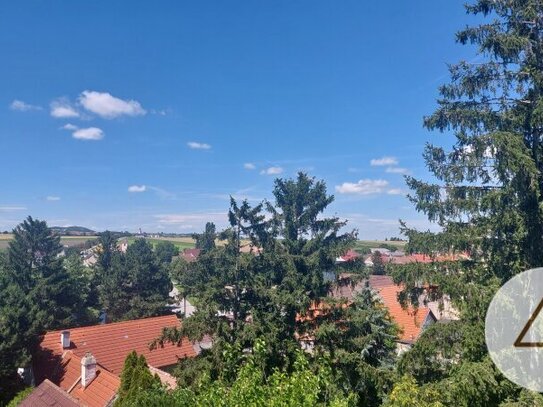 Liebhaberobjekt - Altes Presshaus mit Weinkeller und Wohnhaus!