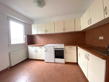 NÄHE FLORIDSDORFER SPITZ: großzügige 2-Zimmer mit möblierter Küche
