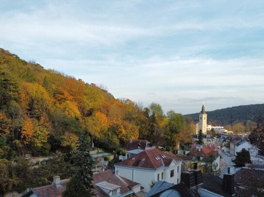 Großzügiges Grundstück in außergewöhnlicher Lage am Rande des Lainzer Tiergartens!