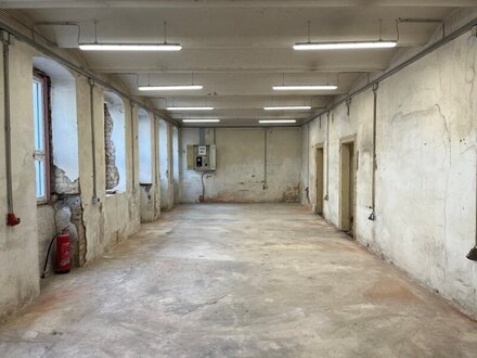 Goldschlagstraße - Lager im Souterrain mit Straßeneingang zu vermieten