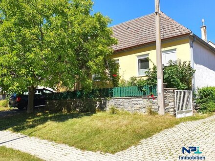 Einfamilienhaus mit sonnigem Garten am Land