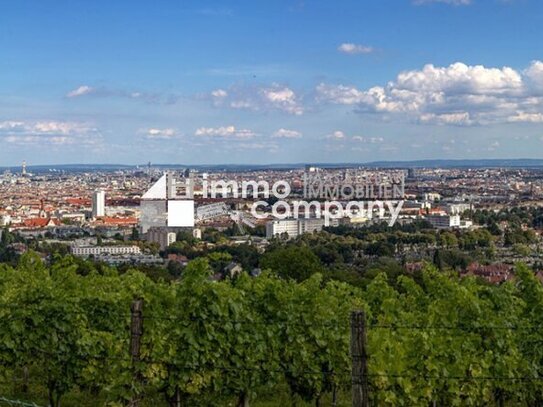 Einmaliges Grundstück an einer der besten Adressen in Döbling - traumhafter Wienblick