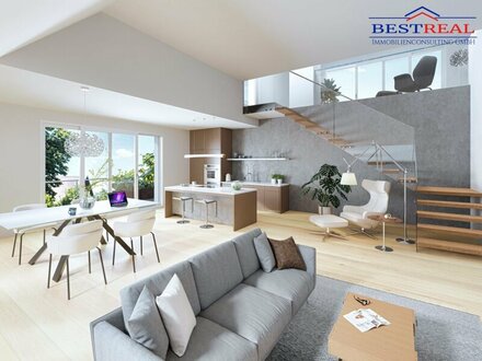 Penthouse mit Galerie + Dachterrasse