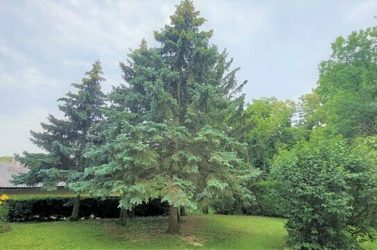 Wohnen ínmitten der Natur in Wolfsbergen, Gemeinde Hagenbrunn