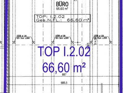 66,6 m² Bürofläche im 1. OG