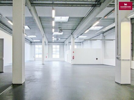 Lagerhalle 650 m2 + Büro 300 m2 Kombination südlich von Wien, in Wr. Neudorf