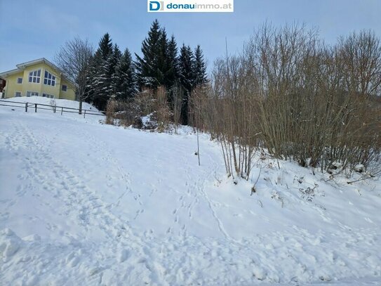 Großzügiges Braugrundstück mit 2815 m² in 8685 Steinhaus am Semmering