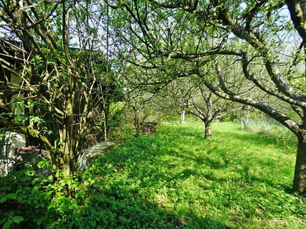 Bezaubernder Baugrund in idyllischer Lage auf leichtem Osthang am Tulbinger Kogel