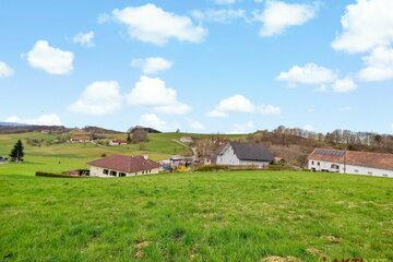 Neuer Preis! - Großer Wohnbau-Grund. - Zwischen Jennersdorf und Fürstenfeld. - Teilung möglich.