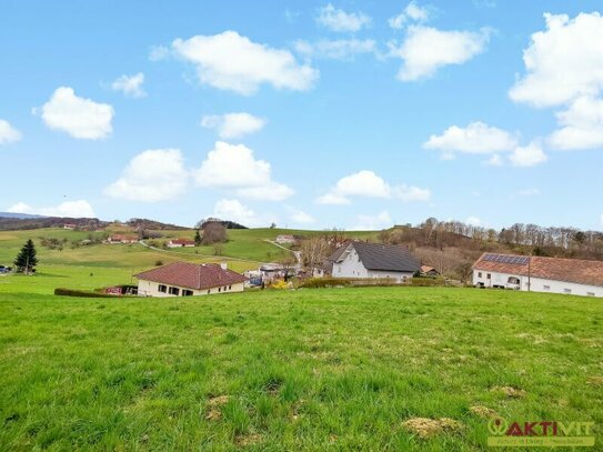 Neuer Preis! - Großer Wohnbau-Grund. - Zwischen Jennersdorf und Fürstenfeld. - Teilung möglich.