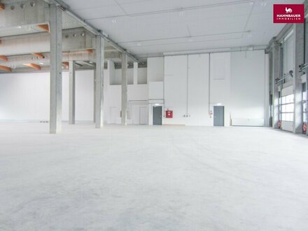 Lagerhalle 650 m2 mit Büro 450 m2 Kombination südlich von Wien, in Wr. Neudorf