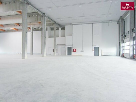 Lagerhalle 650 m2 mit Büro 230 m2 Kombination südlich von Wien, in Wr. Neudorf