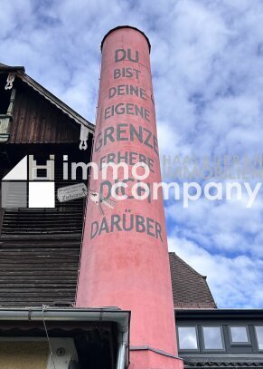 300m2 für Ausstellung I Verkaufs- oder Präsentationsraum I Studio I Atelier I oÄ in Bergheim zu vermieten