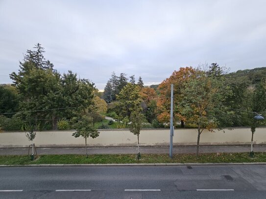 Blick auf Botanischen Garten/Tiergarten Schönbrunn, Park als Vis a Vis, Fernblick (kein direktes Vis a Vis), 10 Min zur…