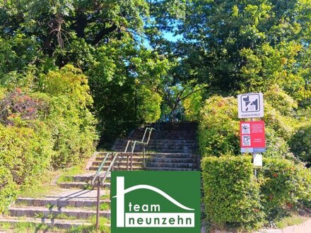 NÄHE SCHÖNBRUNN UND U4 HIETZING ! ANLAGE ! VERMIETETE ALTBAUWOHNUNG BIS 30.04.2025! - JETZT ZUSCHLAGEN