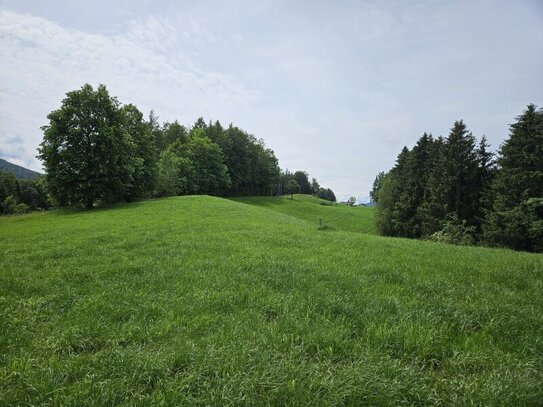 Traumhaftes Baugrundstück mit Planungsvorschlag