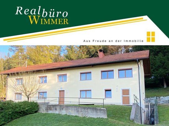 Großes Wohnhaus für 1 bis 2 Familien + landwirtschaftliche Fläche