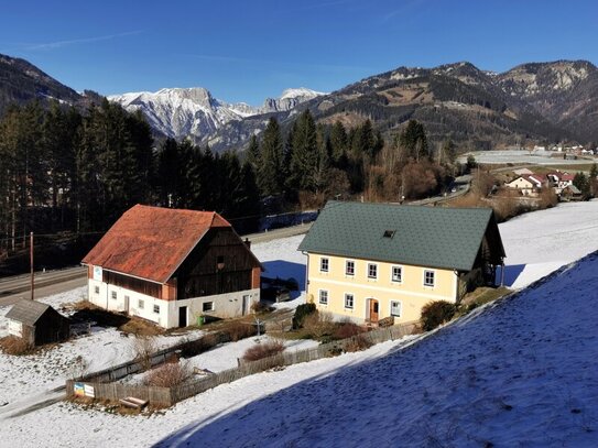 Bauernhof - 27.500m² Hofstelle mit umliegenden Wiesenflächen und Wald