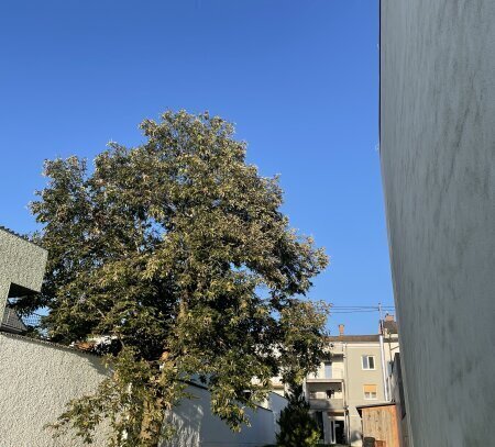 SOFORT einziehen! Altbauwohnung mit großen Garten! PROVISIONSFREI!