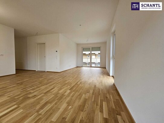 ++ PREISHAMMER ++ PROVISIONSFREI und ERSTBEZUG ++ GARTENWOHNUNG++WFL 64,2 m², 3 ZIMMER mit große TERRASSE ++FINANZIERUN…