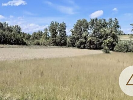 Grundstück landwirtschaftliche Fläche 11.906m² (1,19ha)