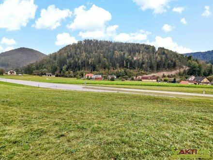 Zwischen Gratwein und Deutschfeistritz. - Wohnbau-Grund in naturnaher Lage. - 10 Min. vor Graz.