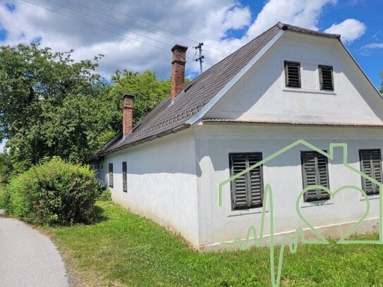 Burgenländischer Streckhof mit viel Potential - 1679 m² Grundstück BW in Kemeten!