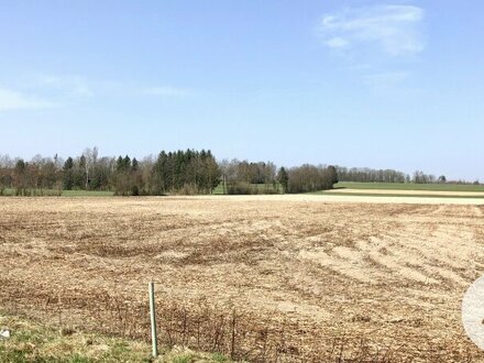 Schönes ebenes landwirtschaftliches Grundstück in Waizenkirchen