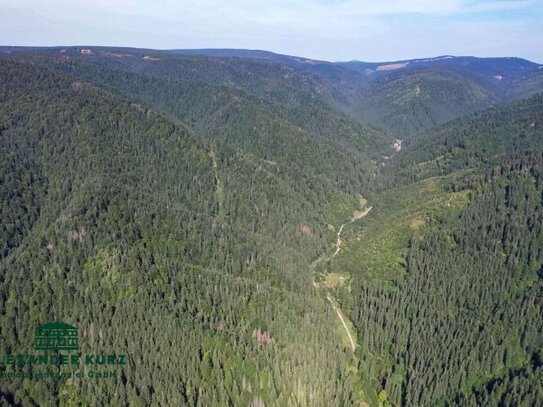 1.855 Hektar Mischwald am Rande der Südkarpaten