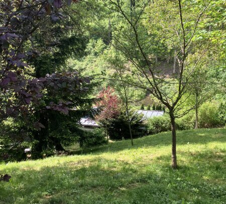 2 Grundstücke + Haus auf 2 Ebenen in Weidlingbach (Klosterneuburg)