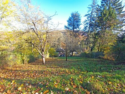 Für Naturliebhaber und Bergfexe! Liegenschaft im Augustinerwald mit Traumausblick