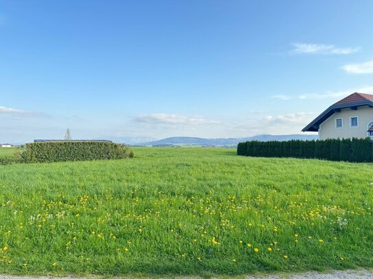 Traumlage in Pöndorf | Baugrund für Eigenheim mit Berg- und Fernblick!