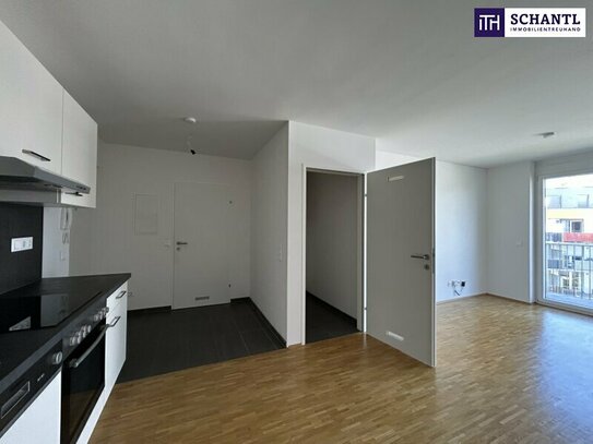 Entzückende Pärchen-Mietwohnung mit großem Balkon - schönes Badezimmer und Küchenzeile - in 8020 Graz