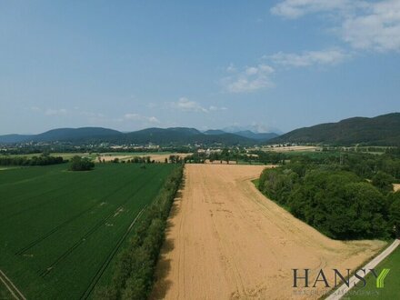 AGRARGRUNDSTÜCK für die Land- und Forstwirtschaft, Bezirk Neunkirchen