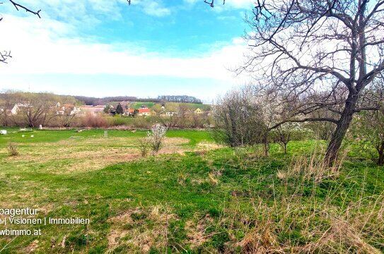 Baugrundstück 1747m² mit exklusivem Zugang zur Leitha, großem Garten, ideal für Huftiere, Enten (netto ca.500m² verbaub…